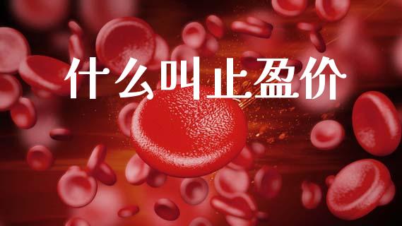 什么叫止盈价_https://wap.lcjysmgs.com_债券基金_第1张