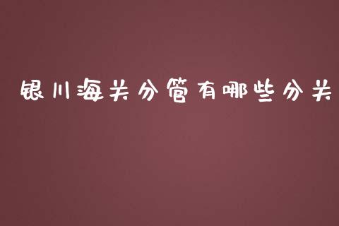 银川海关分管有哪些分关_https://wap.lcjysmgs.com_原油期货_第1张