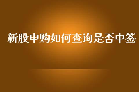 新股申购如何查询是否中签_https://wap.lcjysmgs.com_金融交易_第1张