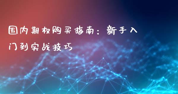 国内期权购买指南：新手入门到实战技巧_https://wap.lcjysmgs.com_元宇宙_第1张