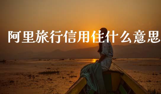 阿里旅行信用住什么意思_金融交易_第1张_金融交易_元宇宙_原油期货_债券基金 阿里旅行信用住什么意思_https://wap.lcjysmgs.com_金融交易_第1张
