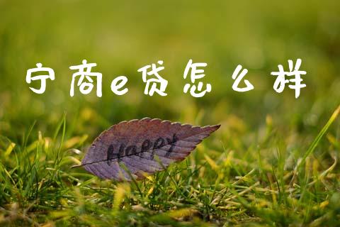 宁商e贷怎么样_https://wap.lcjysmgs.com_元宇宙_第1张