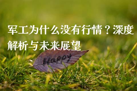 军工为什么没有行情？深度解析与未来展望_https://wap.lcjysmgs.com_债券基金_第1张