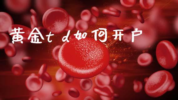 黄金t d如何开户_https://wap.lcjysmgs.com_元宇宙_第1张