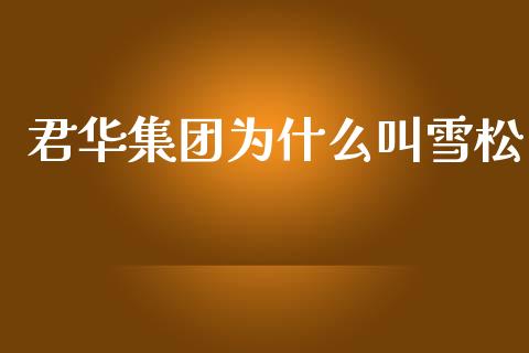 君华集团为什么叫雪松_https://wap.lcjysmgs.com_原油期货_第1张