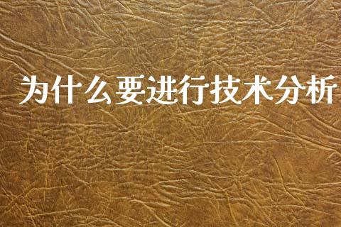 为什么要进行技术分析_https://wap.lcjysmgs.com_元宇宙_第1张
