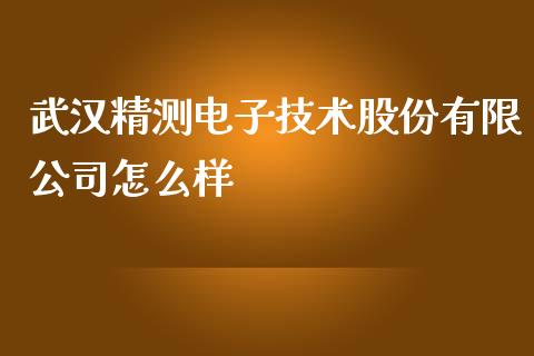武汉精测电子技术股份有限公司怎么样_https://wap.lcjysmgs.com_原油期货_第1张