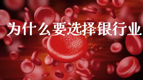 为什么要选择银行业_https://wap.lcjysmgs.com_债券基金_第1张