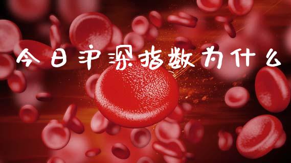 今日沪深指数为什么_https://wap.lcjysmgs.com_金融交易_第1张