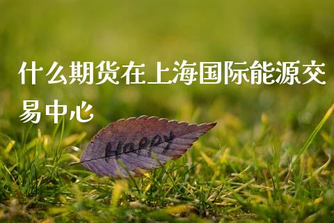 什么期货在上海国际能源交易中心_https://wap.lcjysmgs.com_金融交易_第1张