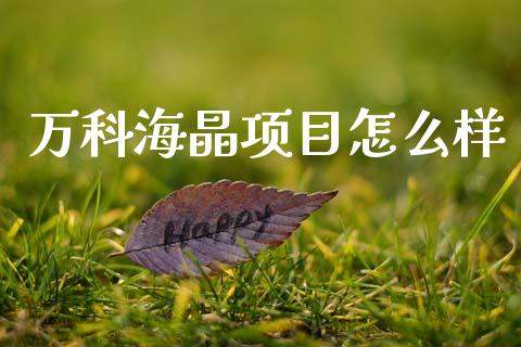 万科海晶项目怎么样_https://wap.lcjysmgs.com_元宇宙_第1张
