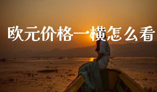 欧元价格一横怎么看_https://wap.lcjysmgs.com_金融交易_第1张