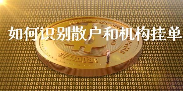 如何识别散户和机构挂单_https://wap.lcjysmgs.com_原油期货_第1张