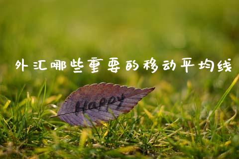 外汇哪些重要的移动平均线_https://wap.lcjysmgs.com_元宇宙_第1张