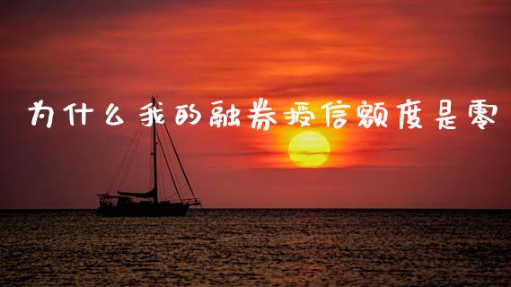 为什么我的融券授信额度是零_https://wap.lcjysmgs.com_原油期货_第1张