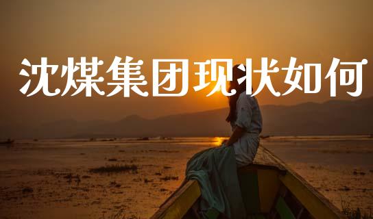 沈煤集团现状如何_https://wap.lcjysmgs.com_债券基金_第1张