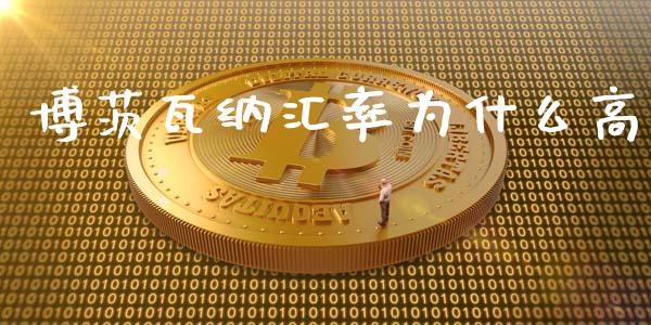 博茨瓦纳汇率为什么高_https://wap.lcjysmgs.com_金融交易_第1张