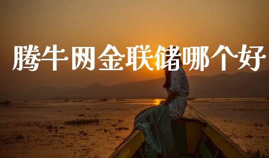 腾牛网金联储哪个好_https://wap.lcjysmgs.com_债券基金_第1张