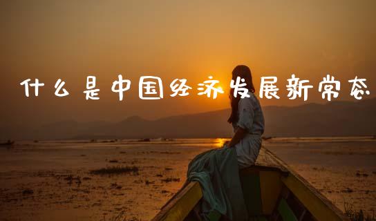 什么是中国经济发展新常态_https://wap.lcjysmgs.com_金融交易_第1张