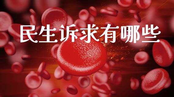 民生诉求有哪些_https://wap.lcjysmgs.com_债券基金_第1张