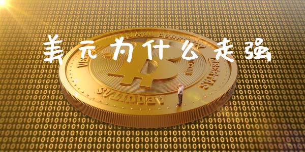 美元为什么走强_https://wap.lcjysmgs.com_元宇宙_第1张