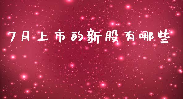 7月上市的新股有哪些_https://wap.lcjysmgs.com_债券基金_第1张