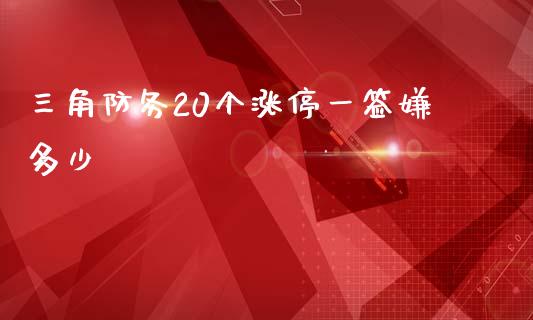三角防务20个涨停一签嫌多少_https://wap.lcjysmgs.com_原油期货_第1张