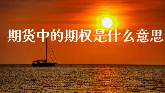 期货中的期权是什么意思_https://wap.lcjysmgs.com_元宇宙_第1张