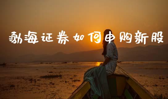 渤海证券如何申购新股_https://wap.lcjysmgs.com_元宇宙_第1张