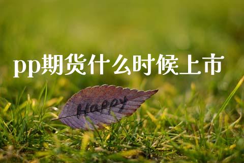 pp期货什么时候上市_https://wap.lcjysmgs.com_债券基金_第1张