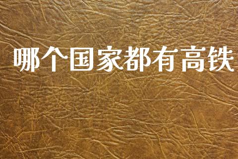 哪个国家都有高铁_https://wap.lcjysmgs.com_元宇宙_第1张