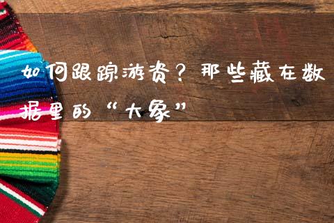 如何跟踪游资？那些藏在数据里的“大象”_https://wap.lcjysmgs.com_原油期货_第1张