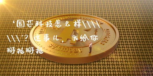 ‘国芯科技怎么样\\\