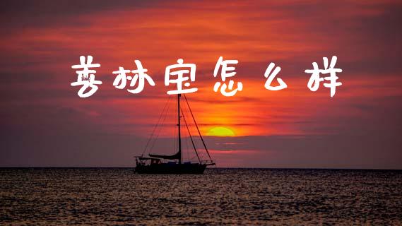善林宝怎么样_https://wap.lcjysmgs.com_债券基金_第1张
