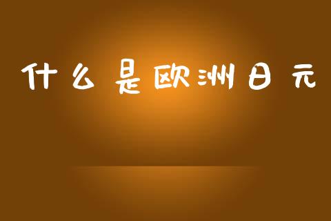 什么是欧洲日元_https://wap.lcjysmgs.com_债券基金_第1张