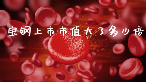 宝钢上市市值大了多少倍_https://wap.lcjysmgs.com_元宇宙_第1张