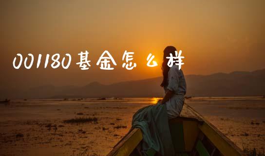 001180基金怎么样_https://wap.lcjysmgs.com_原油期货_第1张