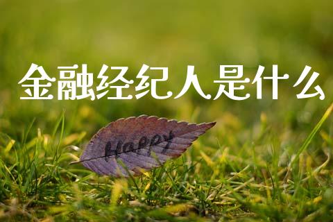 金融经纪人是什么_https://wap.lcjysmgs.com_元宇宙_第1张