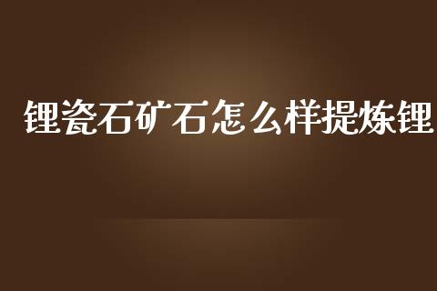 锂瓷石矿石怎么样提炼锂_https://wap.lcjysmgs.com_债券基金_第1张