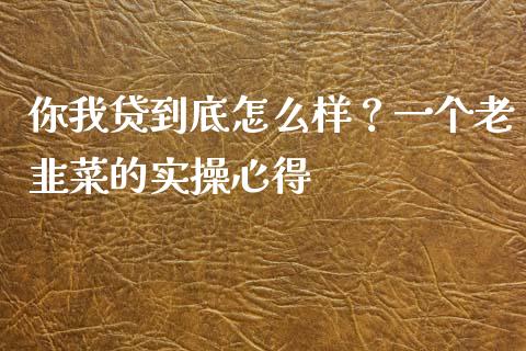 你我贷到底怎么样？一个老韭菜的实操心得_https://wap.lcjysmgs.com_债券基金_第1张
