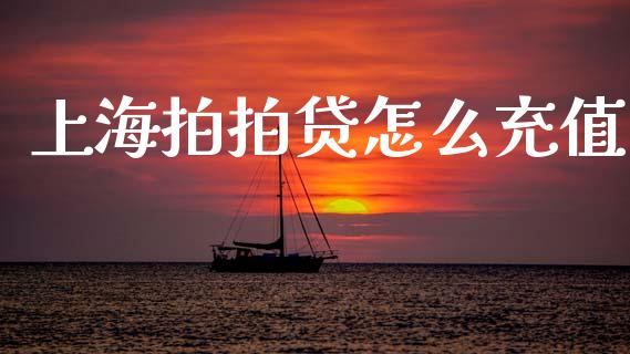 上海拍拍贷怎么充值_https://wap.lcjysmgs.com_元宇宙_第1张