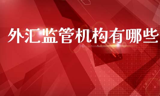 外汇监管机构有哪些_https://wap.lcjysmgs.com_元宇宙_第1张