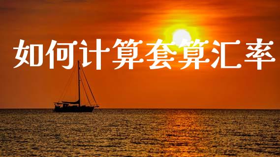 如何计算套算汇率_https://wap.lcjysmgs.com_金融交易_第1张