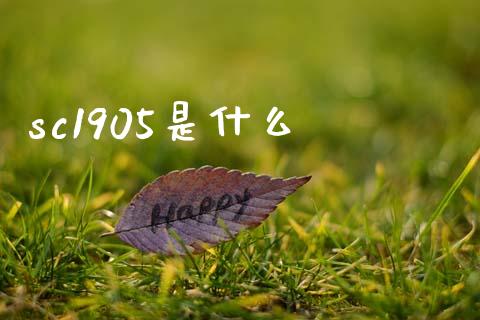 sc1905是什么_https://wap.lcjysmgs.com_原油期货_第1张