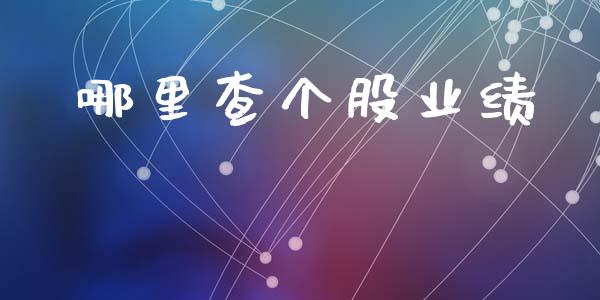 哪里查个股业绩_https://wap.lcjysmgs.com_元宇宙_第1张
