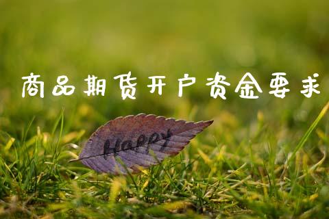 商品期货开户资金要求_https://wap.lcjysmgs.com_原油期货_第1张