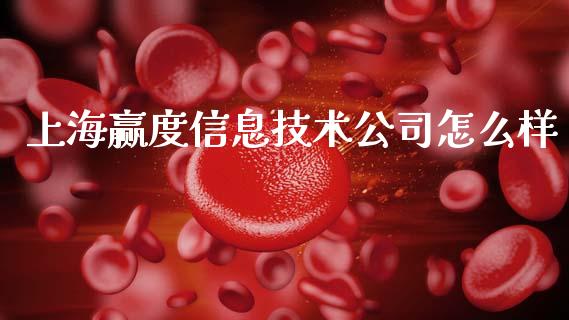 上海赢度信息技术公司怎么样_https://wap.lcjysmgs.com_债券基金_第1张