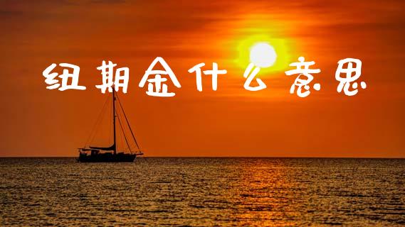 纽期金什么意思_https://wap.lcjysmgs.com_债券基金_第1张