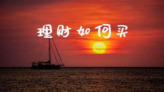 理财如何买_https://wap.lcjysmgs.com_金融交易_第1张
