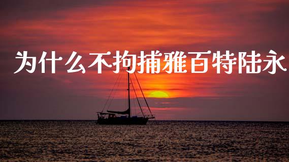 为什么不拘捕雅百特陆永_https://wap.lcjysmgs.com_金融交易_第1张